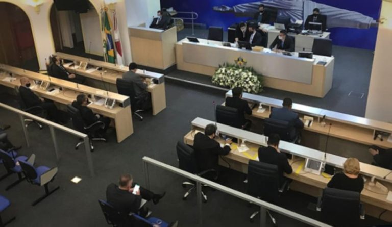 O impacto dos Conselhos Municipais na sociedade.