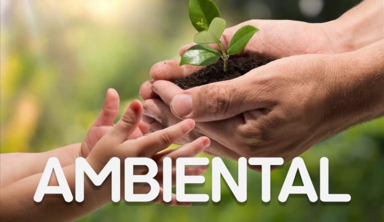 Por que as questões ambientais devem ser uma preocupação de todos?
