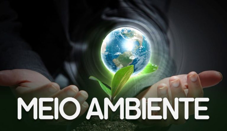 Por que devemos conhecer a Política Nacional do Meio Ambiente?